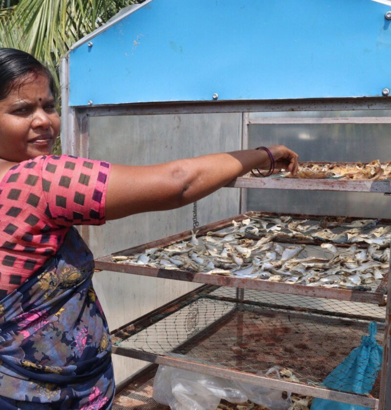 Drying Fish, Empowering Women – EDFish Drying Fish, Empowering Women – EDFish