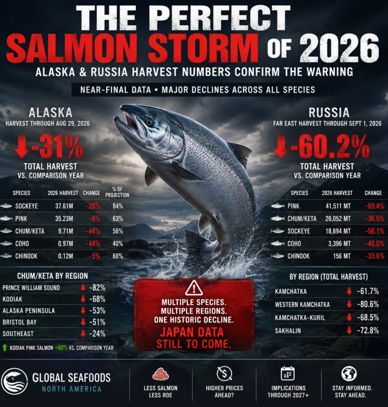 The Perfect Salmon Storm of 2026: Alaska & Russia Harvest Numbers Confirm the Warning The Perfect Salmon Storm of 2026: Alaska & Russia Harvest Numbers Confirm the Warning